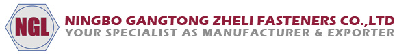 Ningbo Gangtong Zheli Fasteners : 25 ans d'expérience dans le domaine des fixations à haute résistance pour des projets mondiaux